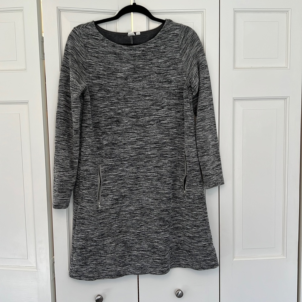 Medium Gap Long Sleeve Swing Dress